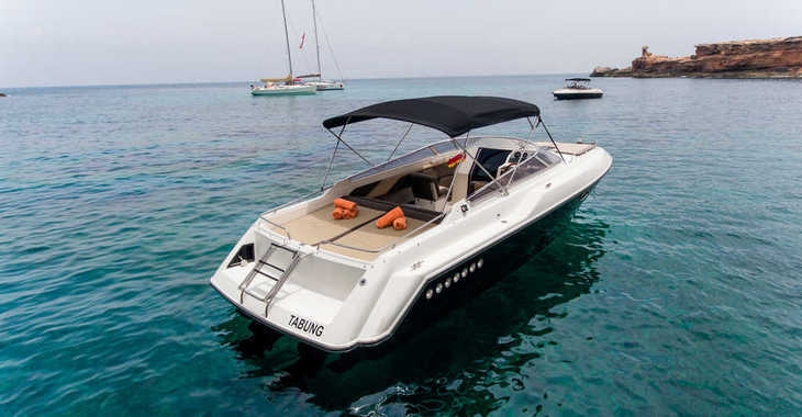Rent a motorboat in Marina Ibiza - Sunseeker Mohawk 29