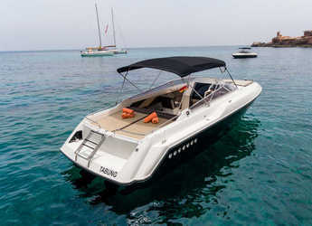 Rent a motorboat in Marina Ibiza - Sunseeker Mohawk 29