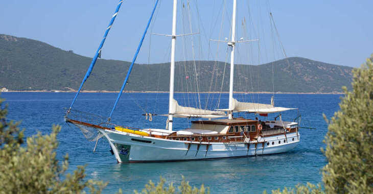 Rent a schooner in Bodrum Marina - Gulet Arielle 1 (Luxury)