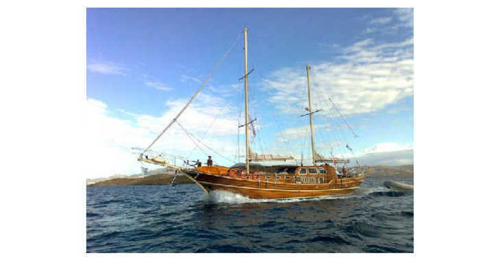 Rent a schooner in Bodrum Marina - Gulet Neptun (Standard)