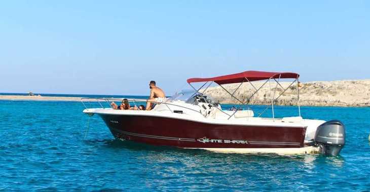 Rent a motorboat in Marina Ibiza - White Shark 298 (Day charter only)