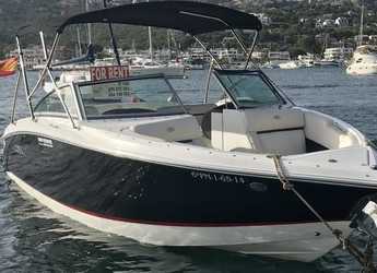 Chartern Sie motorboot in Port d'andratx - COBALT R3