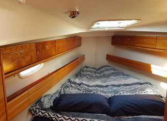 Chartern Sie segelboot in Marina Port de Mallorca - Bavaria 39 cruiser.