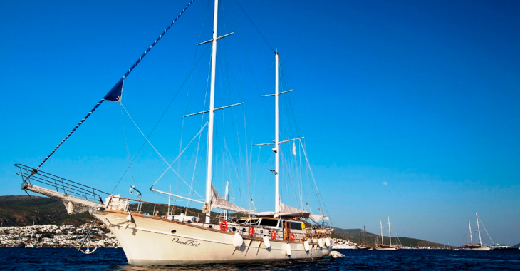 Rent a schooner in Bodrum Marina - Gulet Osman Kurt (Standard)