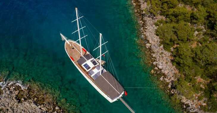 Rent a schooner in Bodrum Marina - Gulet Albatros D (Standard)