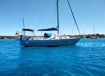 Rent a sailboat in Port of Pollensa - Navis 33