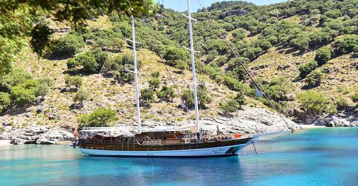 Rent a schooner in Ece Marina - Gulet Deniz Felix Balina