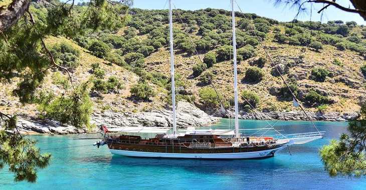 Rent a schooner in Ece Marina - Gulet Deniz Felix Balina