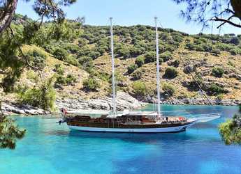 Chartern Sie schoner in Ece Marina - Gulet Deniz Felix Balina