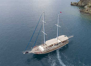 Alquilar goleta en Ece Marina - Gulet Faralya