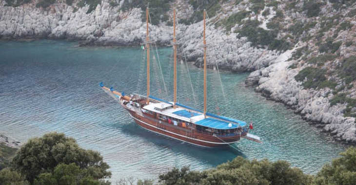 Rent a schooner in Bodrum Marina - Gulet Bahriyeli C (Luxury)