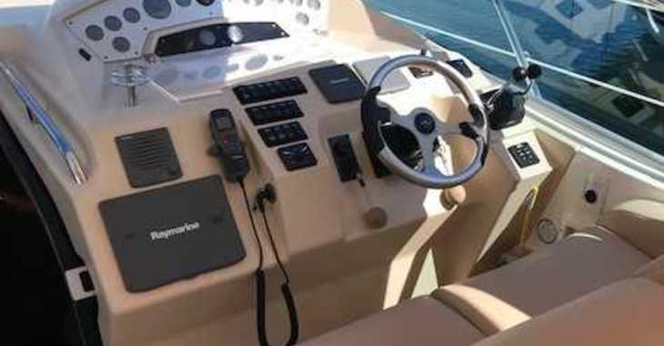 Rent a yacht in Port Mahon - Sealine S38 (Only Day Charter)
