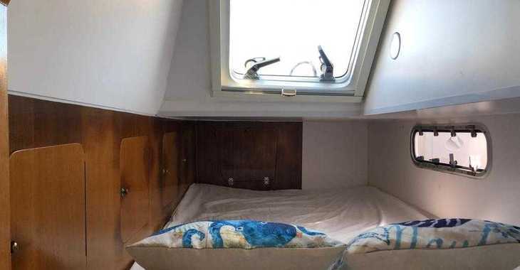 Rent a catamaran in Platja des Jondal - Petrachi 32 (Only Day Charter)