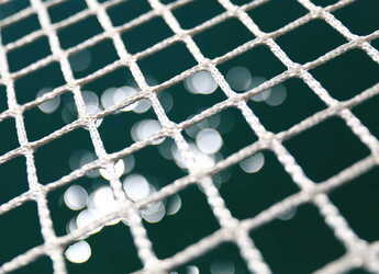 Alquilar catamarán en Marina Sukosan (D-Marin Dalmacija) - Lagoon 42