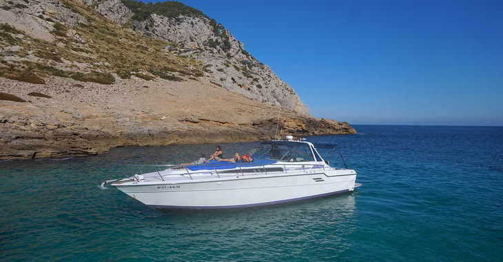 Chartern Sie motorboot in Port of Pollensa - Sea Ray 460
