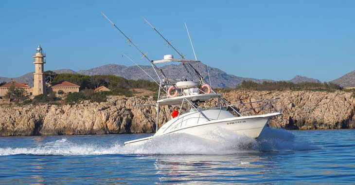 Rent a motorboat in Port of Pollensa - Pursuit Offshore 3000