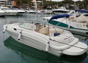 Rent a motorboat in Santa Ponsa - Sea Ray 240 Sundeck (Only Day Charter)