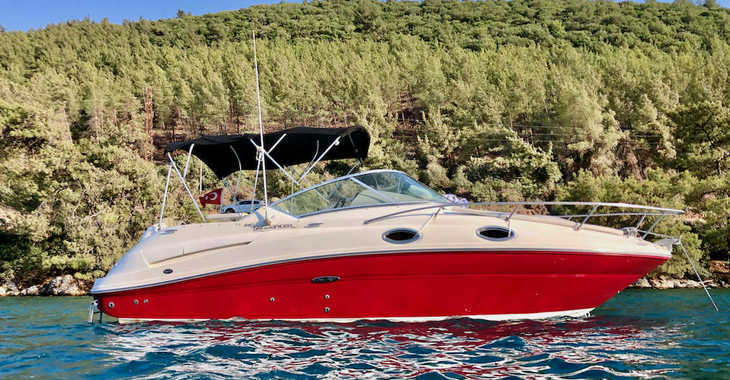 Chartern Sie motorboot in Bodrum Marina - Sea Ray Sundancer 240