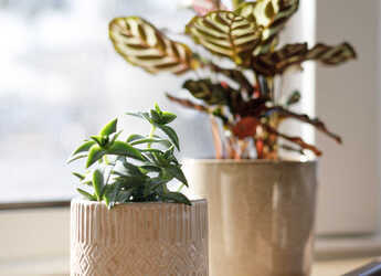 Louer catamaran à Kos Marina - Lagoon 42