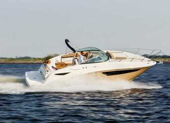 Rent a motorboat in Jezera ACI Marina - Sea Ray 265 DAE