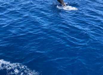 Rent a sailboat in Nikiti - Hanse 342