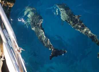 Rent a sailboat in Nikiti - Hanse 342