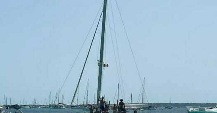 Alquilar catamarán en Platja de ses salines - Edelcat 35 Open