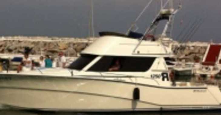 Chartern Sie motorboot in Puerto deportivo Marina La Bajadilla - RODMAN 12,50 R