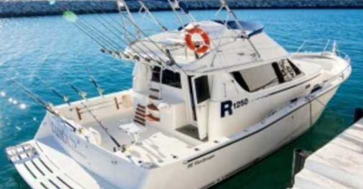 Louer bateau à moteur à Puerto deportivo Marina La Bajadilla - RODMAN 12,50 R