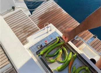 Alquilar velero en Setur Gökova Ören Marina - Dufour 412 GL