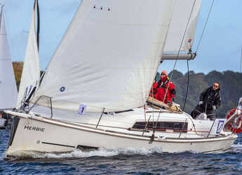 Rent a sailboat in Marina Flensburg Sonwik - Dufour 382 GL