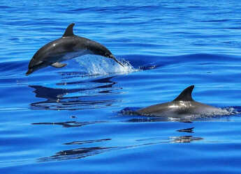 Alquilar velero en Heraklion Port - Beneteau Oceanis 48