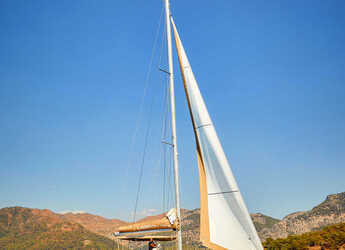 Chartern Sie katamaran in Ece Marina - Lagoon 52F