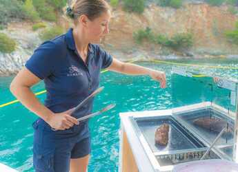 Alquilar catamarán en Alimos Marina - Fountaine Pajot Samana 59