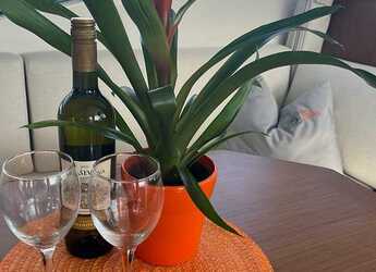 Rent a yacht in Marina Frapa - Swift Trawler 48