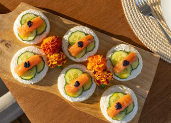 Alquilar yate en Marina Frapa - Motoryacht P