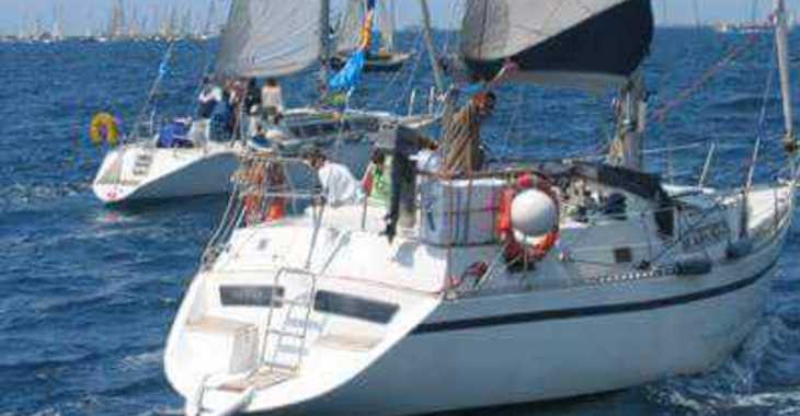 Alquilar velero en Marina Botafoch - Puma 37