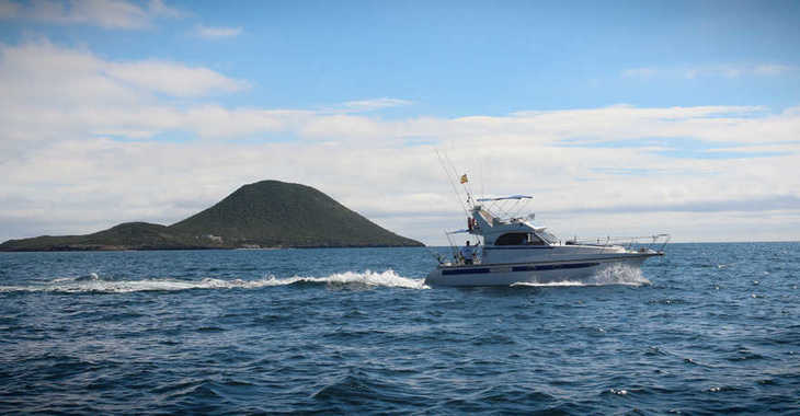 Louer bateau à moteur à Puerto Deportivo Tomas Maestre - Doqueve fisherman 360